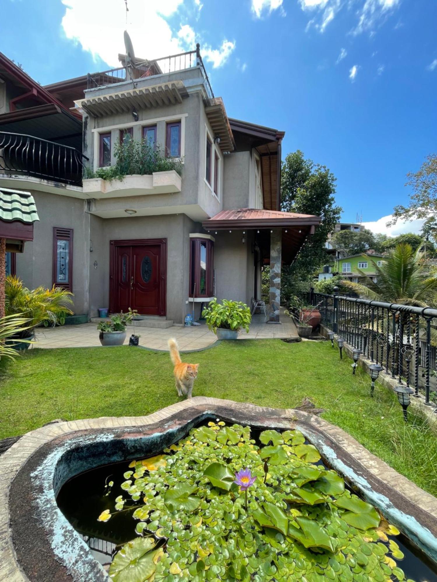 中国蒲公英民宿dandelion Guest House Villa With Mount View Κάντι Εξωτερικό φωτογραφία
